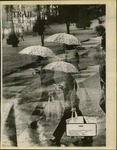 The Trail, 1977-09-30 by Associated Students of the University of Puget Sound